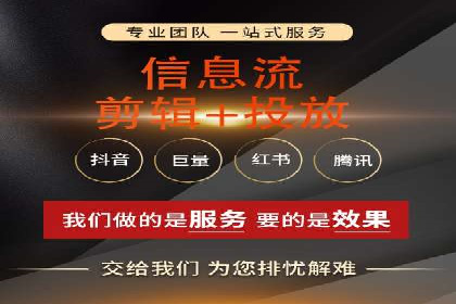 SEM代运营服务公司成功案例解析
